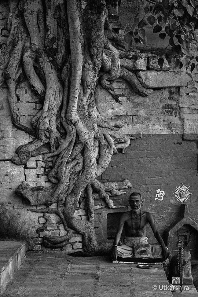 Sadhu meditating beneath an enormous banyan tree